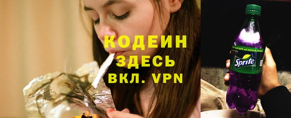 не бодяженный Арсеньев