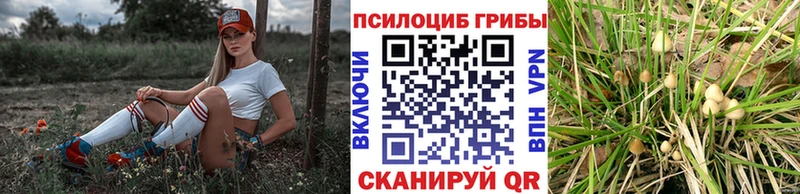 Псилоцибиновые грибы Cubensis купить закладку Радужный